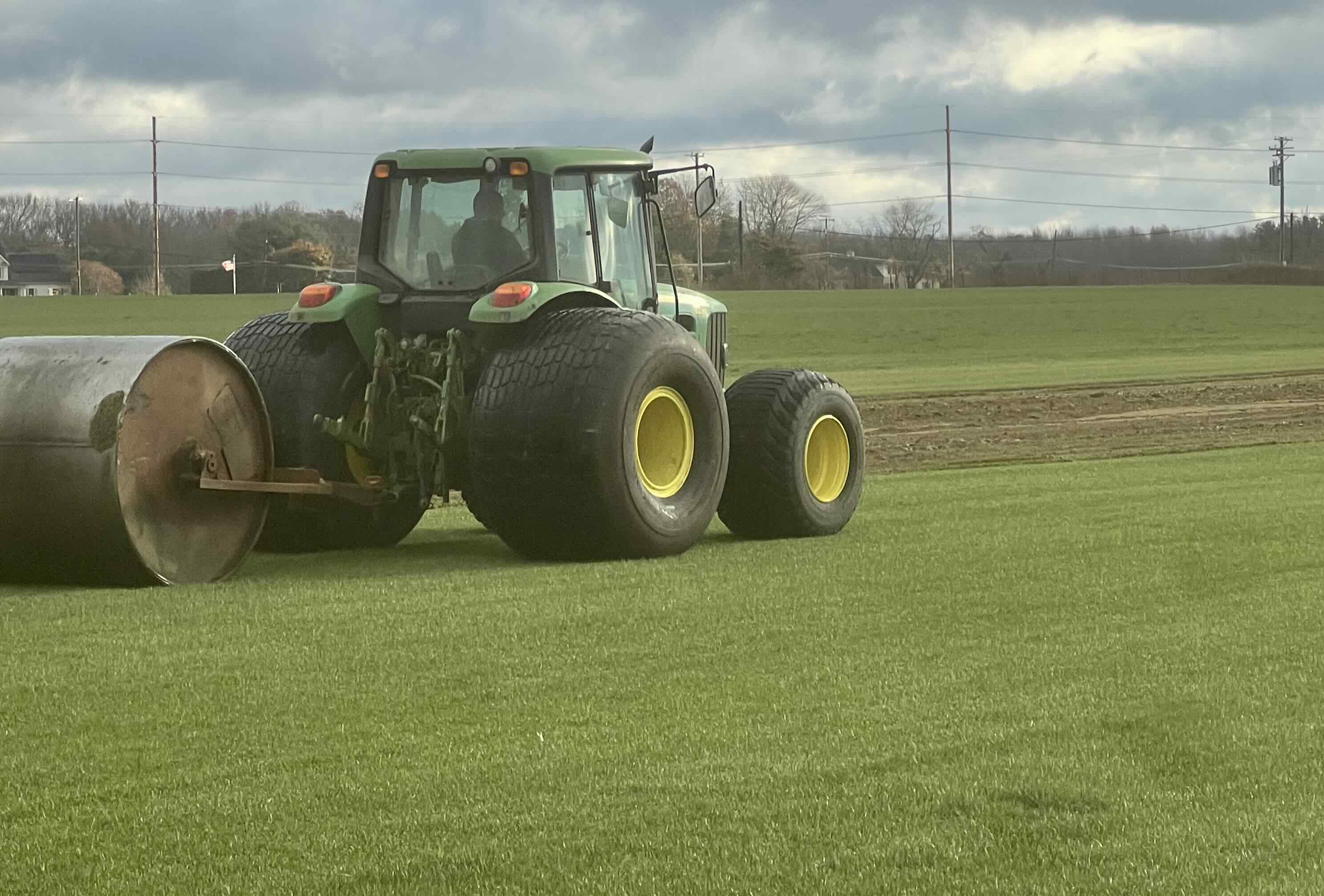 Beautiful mature green lawn after sod installation