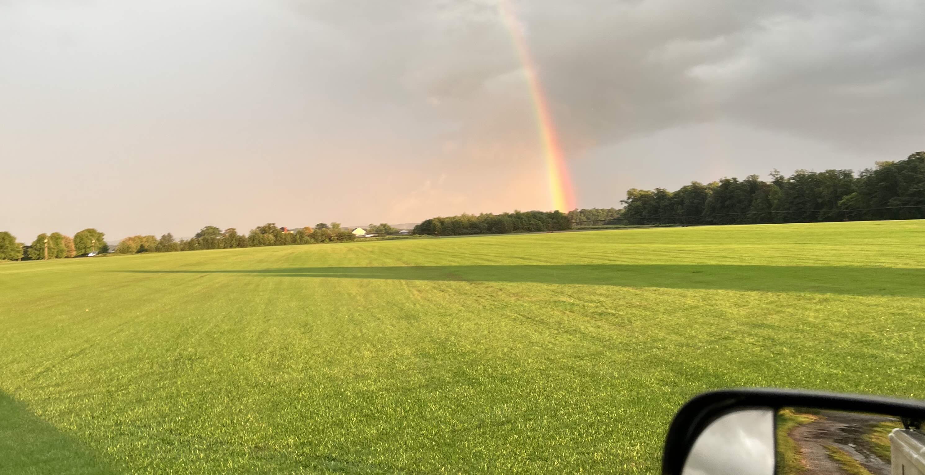 Beautiful mature green lawn after sod installation